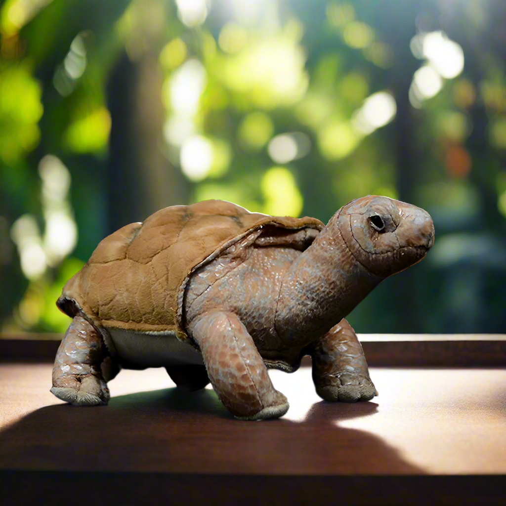 Galapagos Tortoise Lifelike Cute Plushie Stuffed Animal