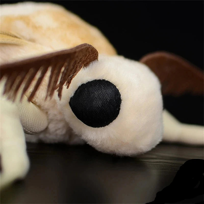 Poodle moth plush best sale