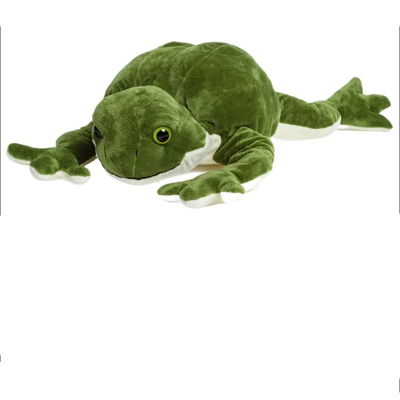 Kawaii Giant Frog Plush Soft Toy Set – Plushie Land