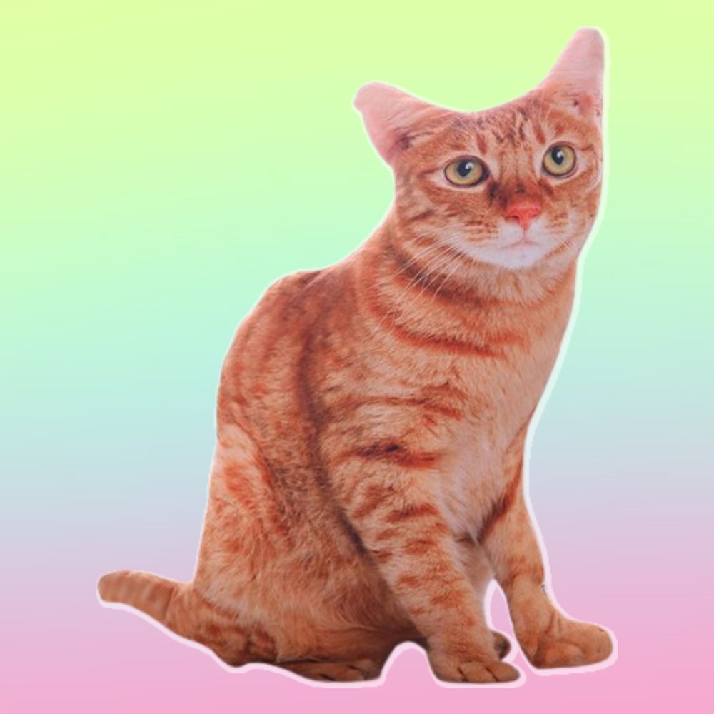 Peluche de peluche tipo gato realista de 50 cm