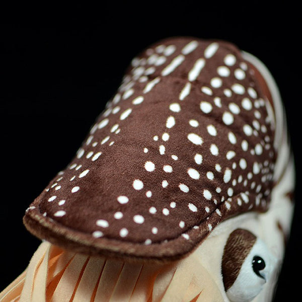 Peluches realistas de caracol marino Nautilus de Plushie
